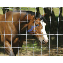 Cerca de proteção de pradaria de casa Wire Mesh (fábrica)